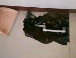固镇卫生间测漏水多少钱